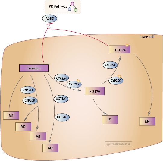 Misoprostol and mifepristone medicine buy