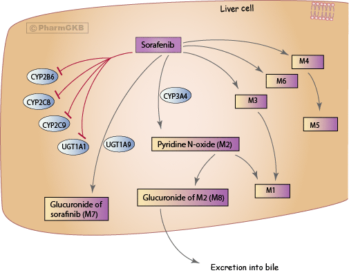 sorafenib mechanism of action