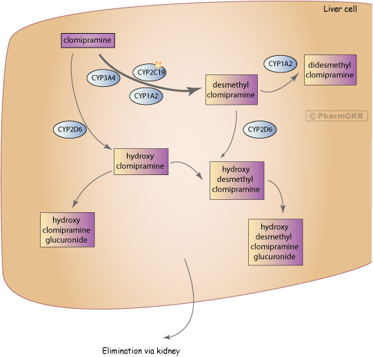 major route of metabolism of klonopin withdrawal treatment major route of metabolism of klonopin withdrawal treatment