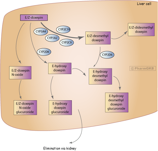 DOWNLOAD RADIOTHERAPY