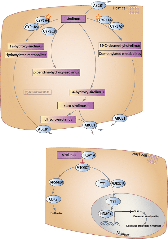 Hdac description