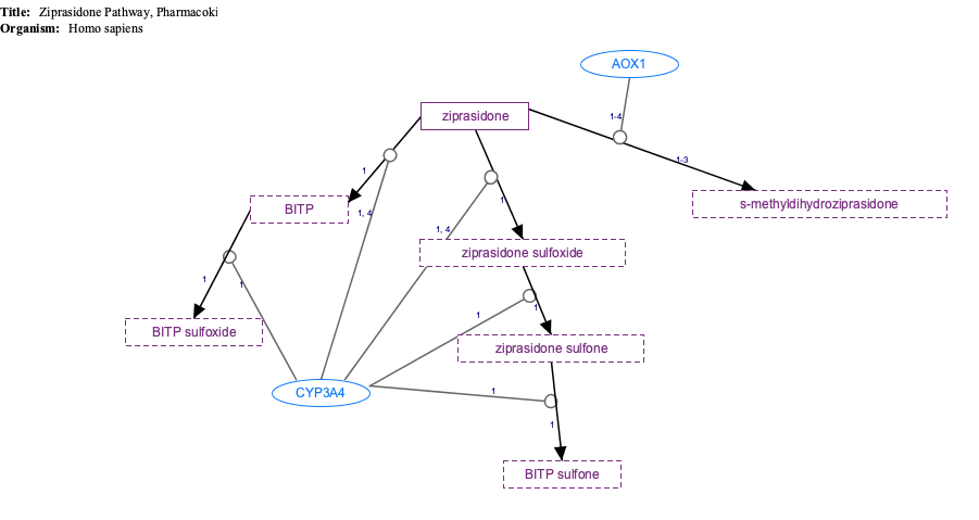 In Progress: Ziprasidone Pathway, Pharmacokinetics diagram