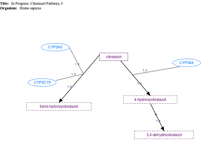 In Progress: Cilostazol Pathway, Pharmacokinetics diagram