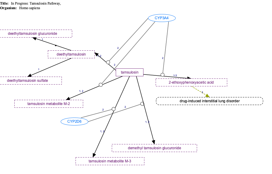 In Progress: Tamsulosin Pathway, Pharmacokinetics diagram