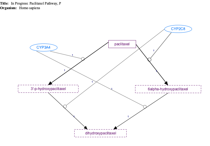 In Progress: Paclitaxel Pathway, Pharmacokinetics diagram