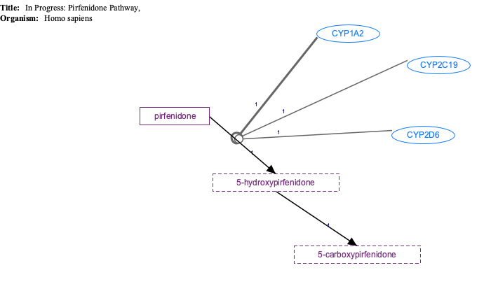 In Progress: Pirfenidone Pathway, Pharmacokinetics diagram