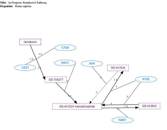 In Progress: Remdesivir Pathway, Pharmacokinetics diagram