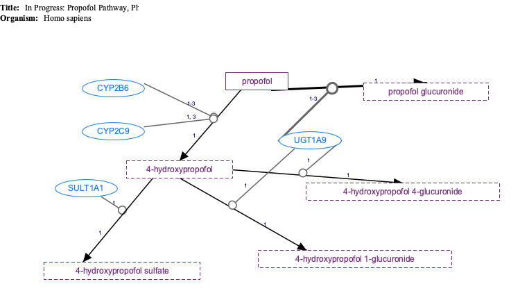In Progress: Propofol Pathway, Pharmacokinetics diagram