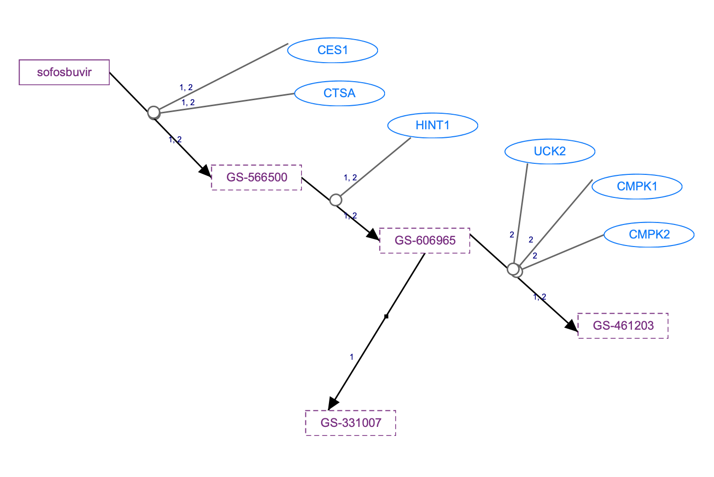 In Progress: Sofosbuvir Pathway, Pharmacokinetics diagram