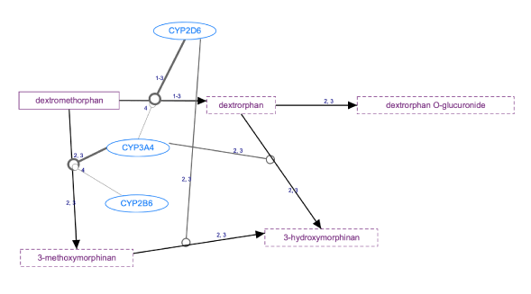 In Progress: Dextromethorphan Pathway, Pharmacokinetics diagram