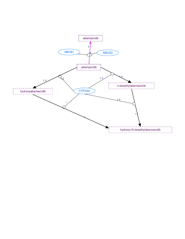 In Progress: Abemaciclib Pathway, Pharmacokinetics diagram