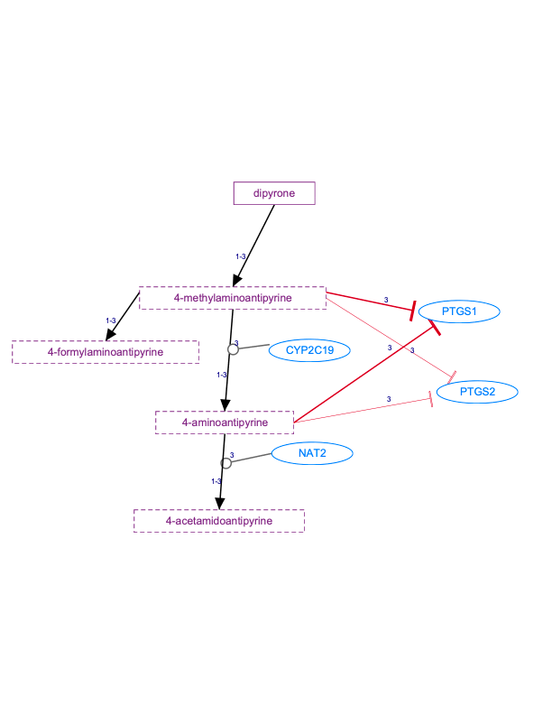 進行中：dipyrone 途徑，藥物動力學/藥效學圖