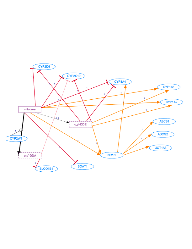 In Progress: Mitotane Pathway, Pharmacokinetics/Pharmacodynamics diagram