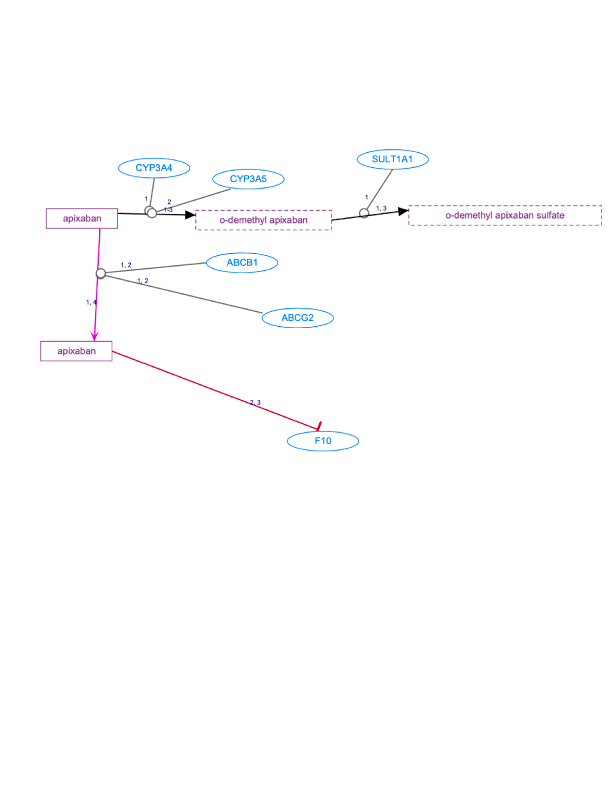 In Progress: Apixaban Pathway, Pharmacokinetics/Pharmacodynamics diagram