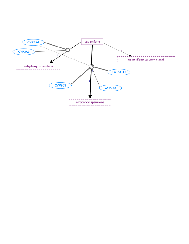 In Progress: Ospemifene Pathway, Pharmacokinetics diagram