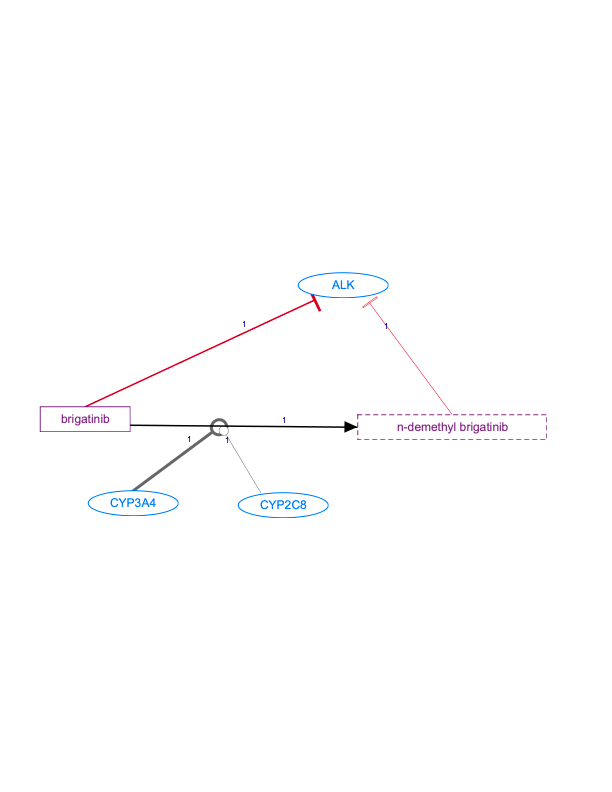 In Progress: Brigatinib Pathway, Pharmacokinetics/Pharmacodynamics diagram