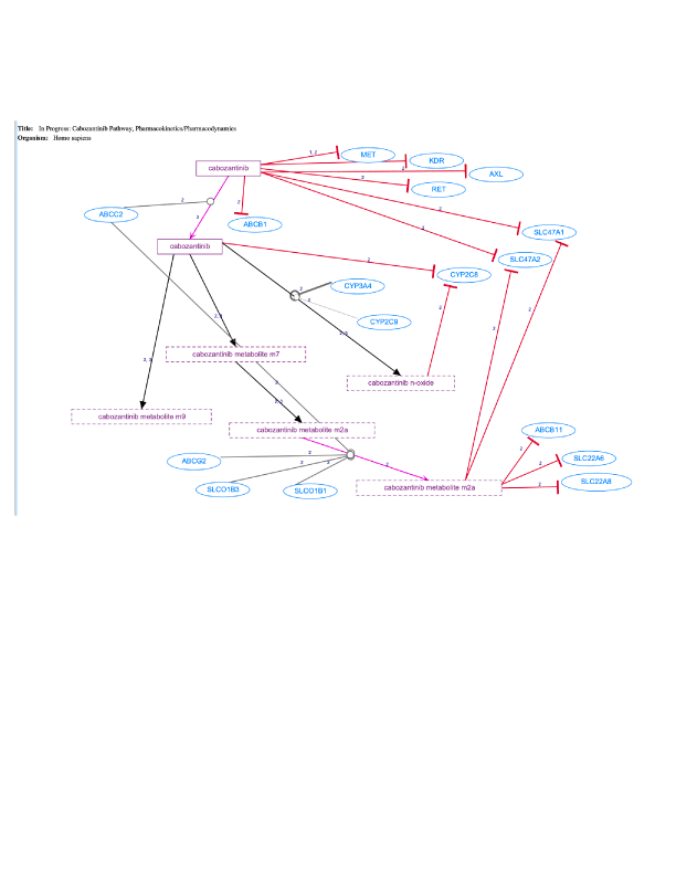 In Progress: Cabozantinib Pathway, Pharmacokinetics/Pharmacodynamics diagram