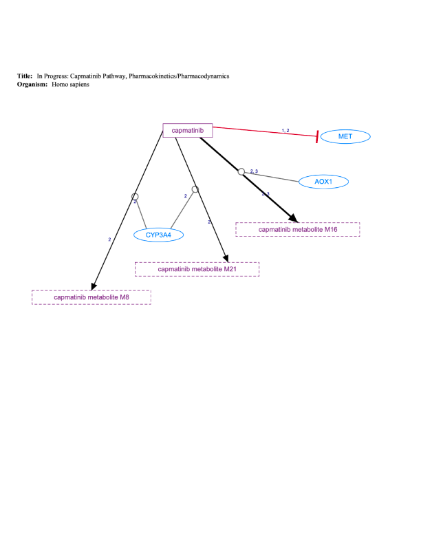 In Progress: Capmatinib Pathway, Pharmacokinetics/Pharmacodynamics diagram