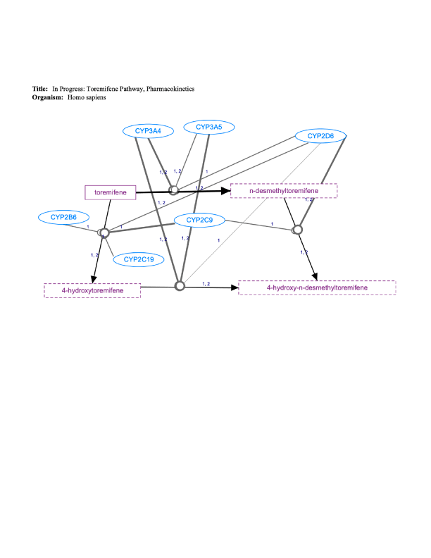 In Progress: Toremifene Pathway, Pharmacokinetics diagram