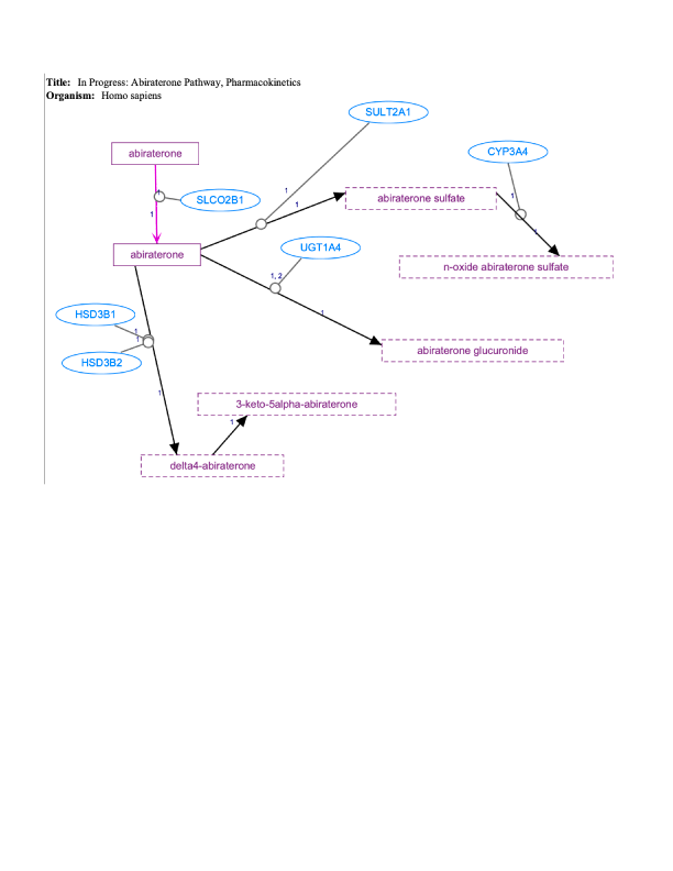 In Progress: Abiraterone Pathway, Pharmacokinetics diagram