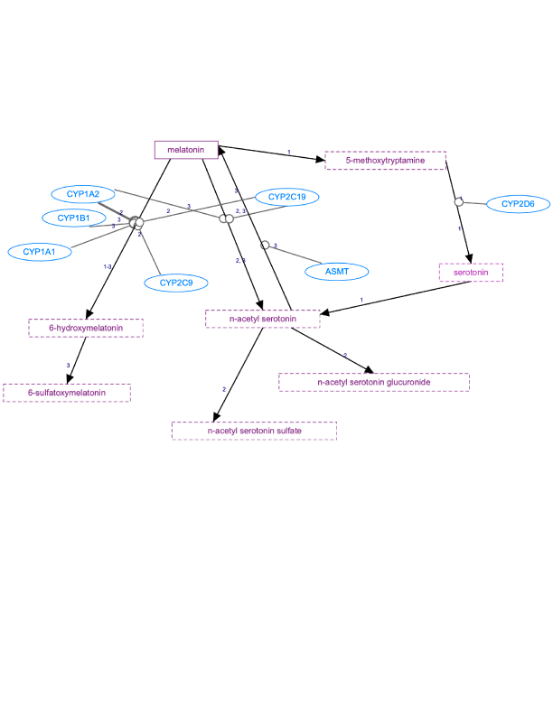 In Progress: Melatonin Pathway, Pharmacokinetics diagram