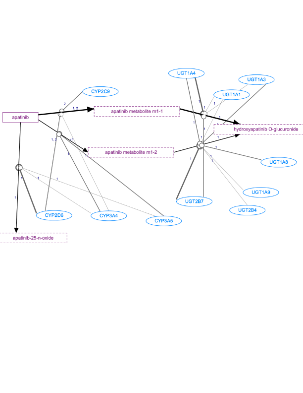 In Progress: Apatinib Pathway, Pharmacokinetics diagram