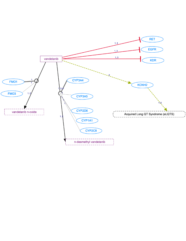 In Progress: Vandetanib Pathway, Pharmacokinetics/Pharmacodynamics diagram