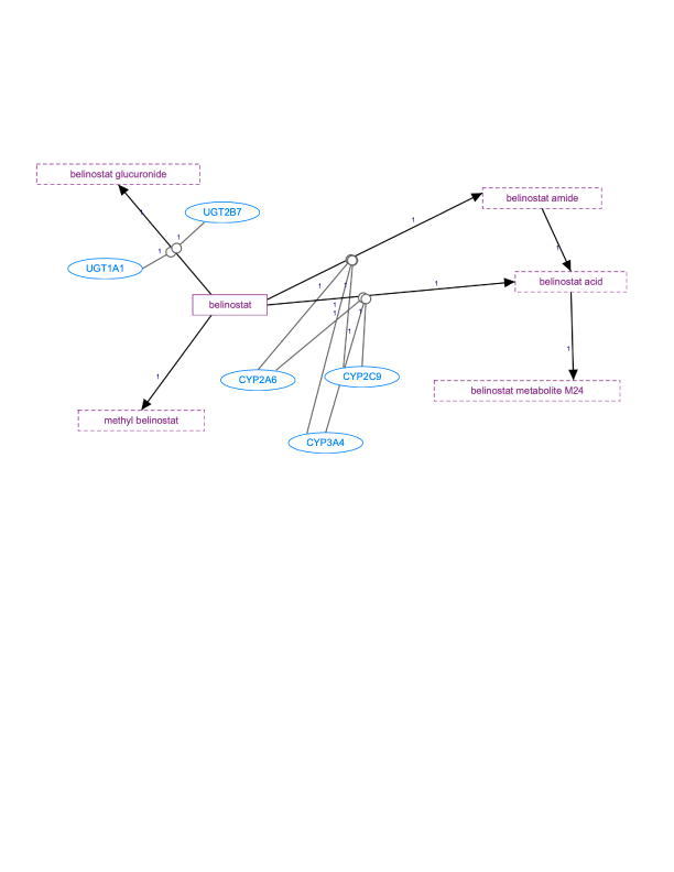 In Progress: Belinostat Pathway, Pharmacokinetics diagram