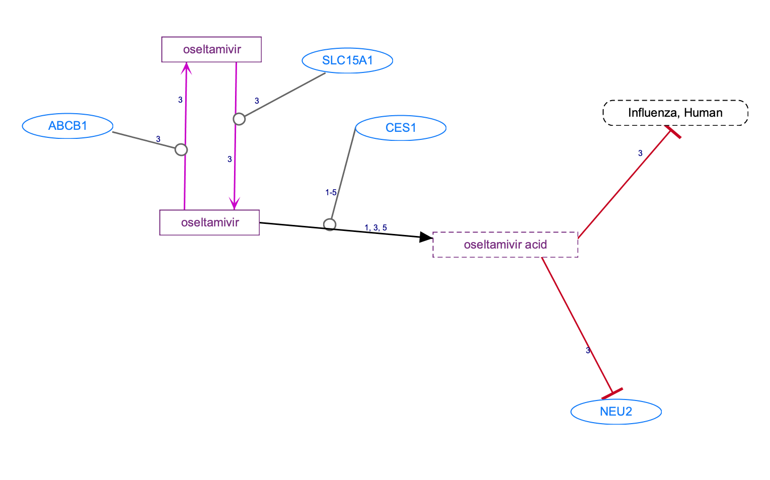 In Progress: Oseltamivir Pathway, Pharmacokinetics/Pharmacodynamics diagram