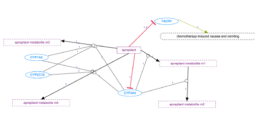 In Progress: Aprepitant Pathway, Pharmacokinetics/Pharmacodynamics diagram
