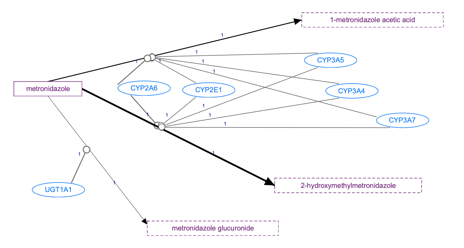 In Progress: Metronidazole Pathway, Pharmacokinetics diagram