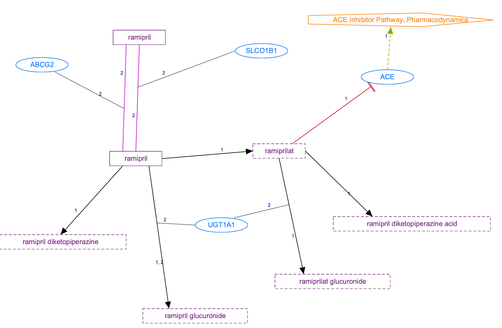 In Progress: Ramipril Pathway, Pharmacokinetics diagram