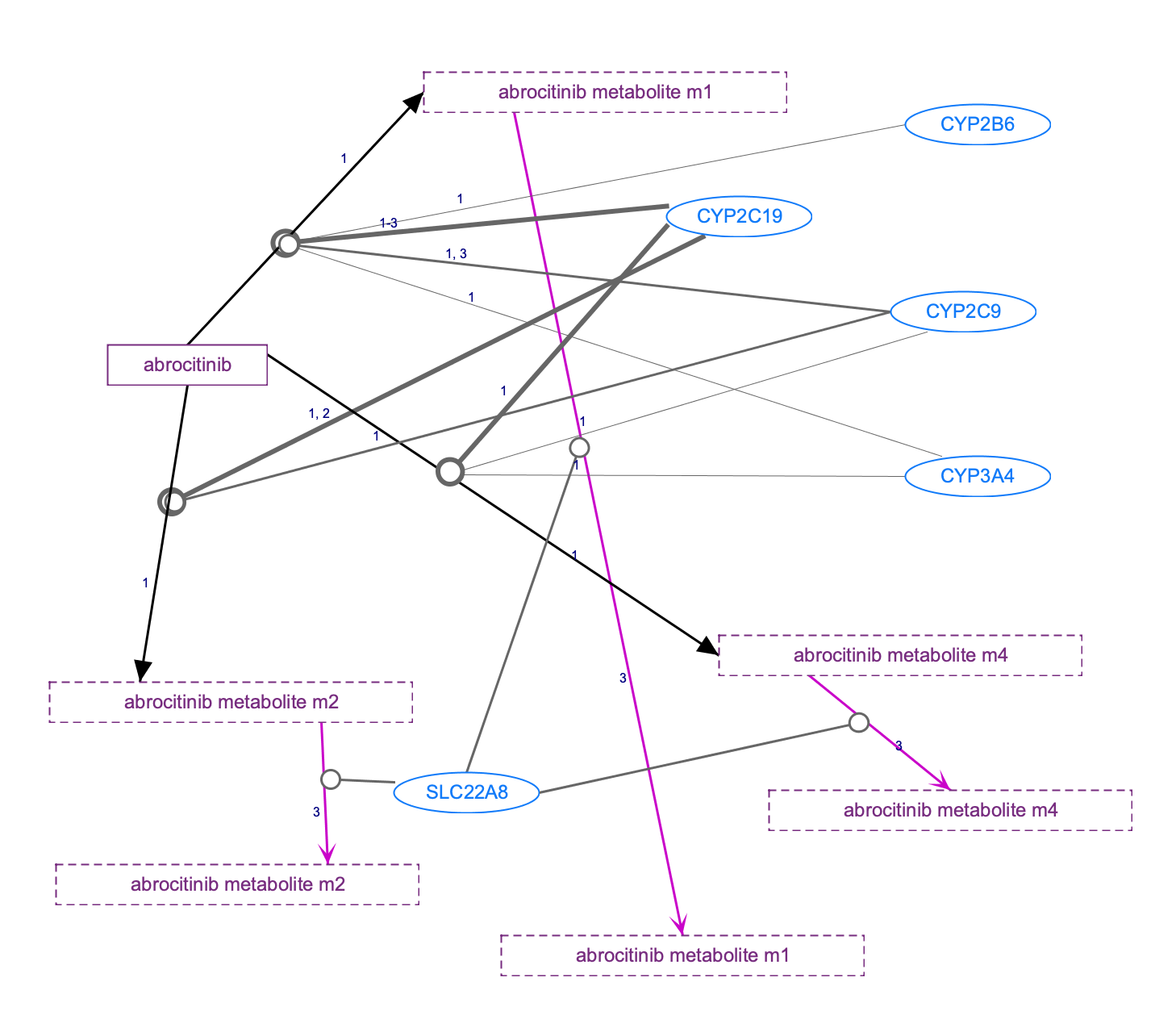 In Progress: Abrocitinib Pathway, Pharmacokinetics diagram