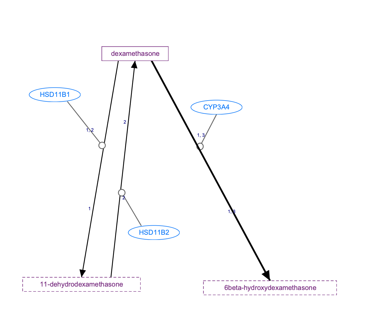 In Progress: Dexamethasone Pathway, Pharmacokinetics/Pharmacodynamics diagram