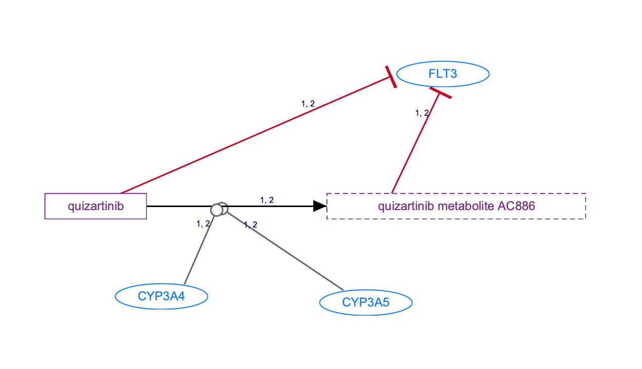 In Progress: Quizartinib Pathway, Pharmacokinetics/Pharmacodynamics diagram
