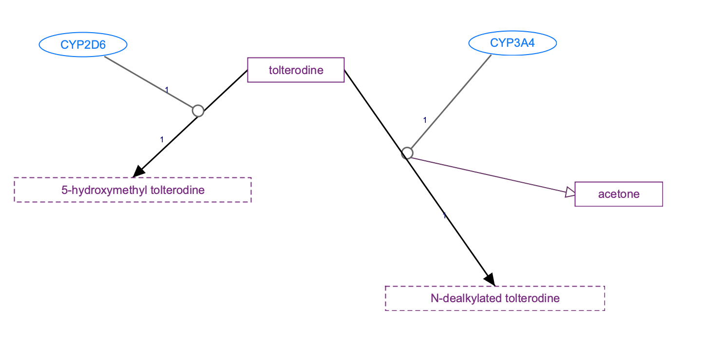 In Progress: Tolterodine Pathway, Pharmacokinetics diagram