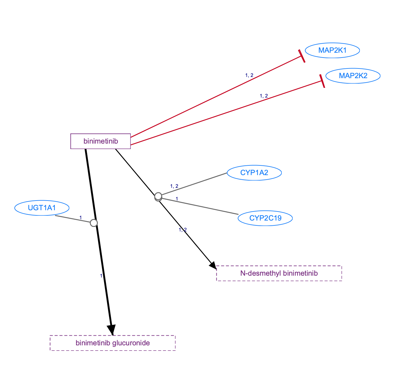 In Progress: Binimetinib Pathway, Pharmacokinetics/Pharmacodynamics diagram