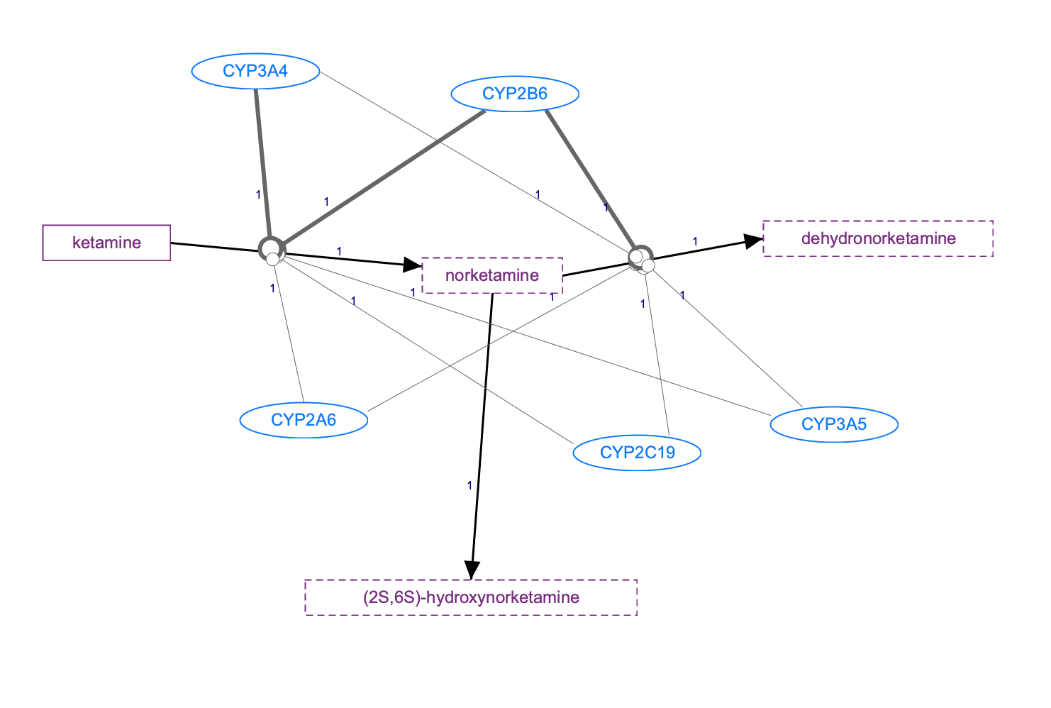 In Progress: Ketamine Pathway, Pharmacokinetics diagram