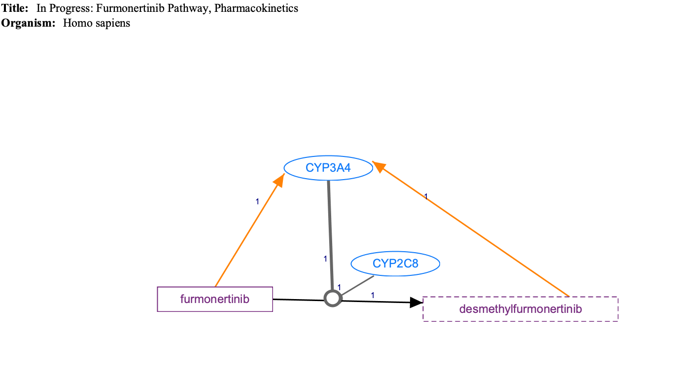 In Progress: Furmonertinib Pathway, Pharmacokinetics diagram