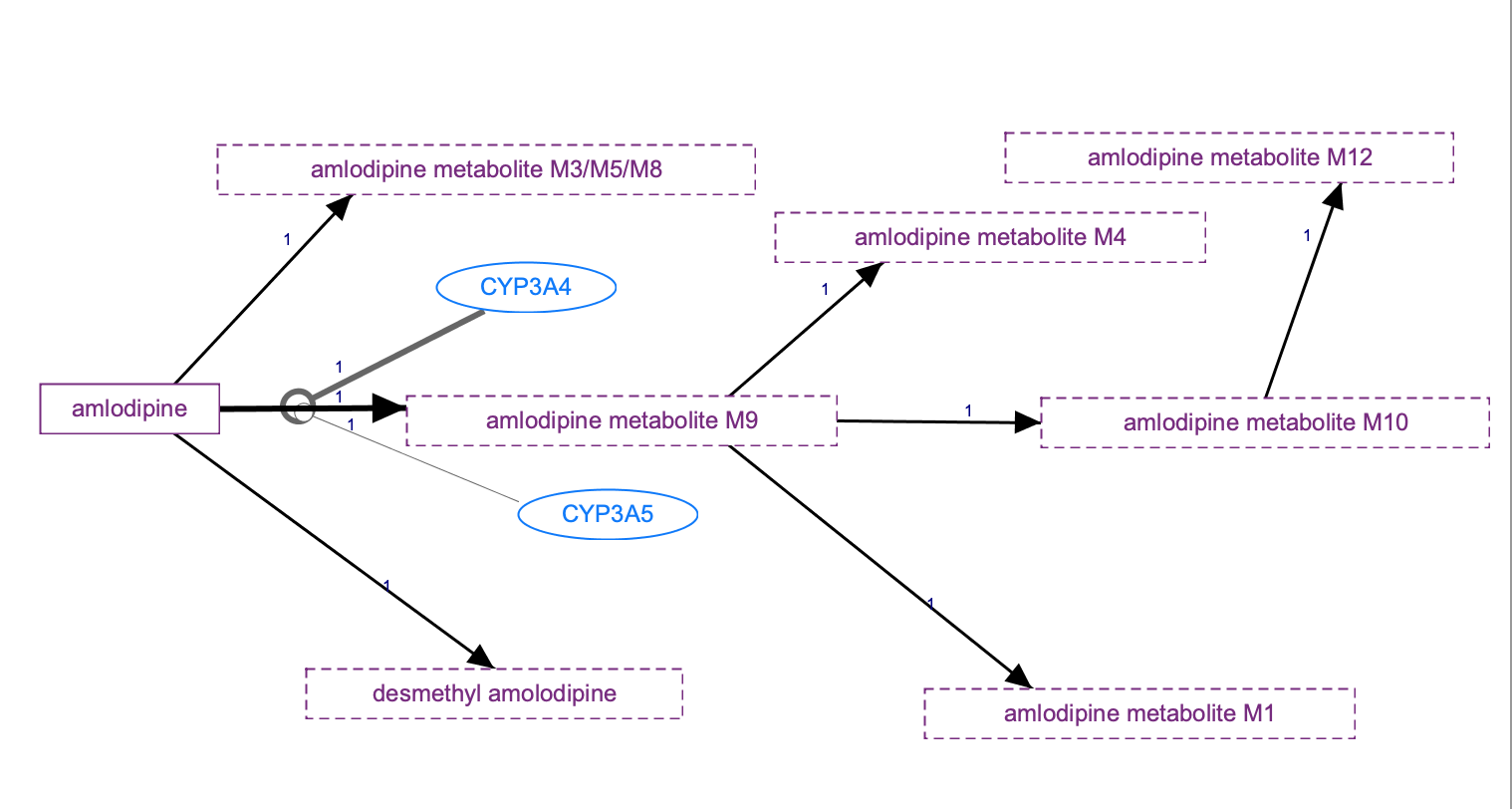 In Progress: Amlodipine Pathway, Pharmacokinetics diagram
