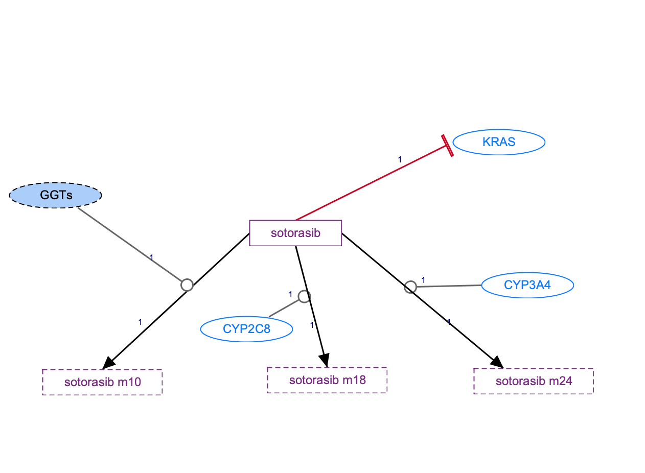 In Progress: Sotorasib Pathway, Pharmacokinetics/Pharmacodynamics diagram