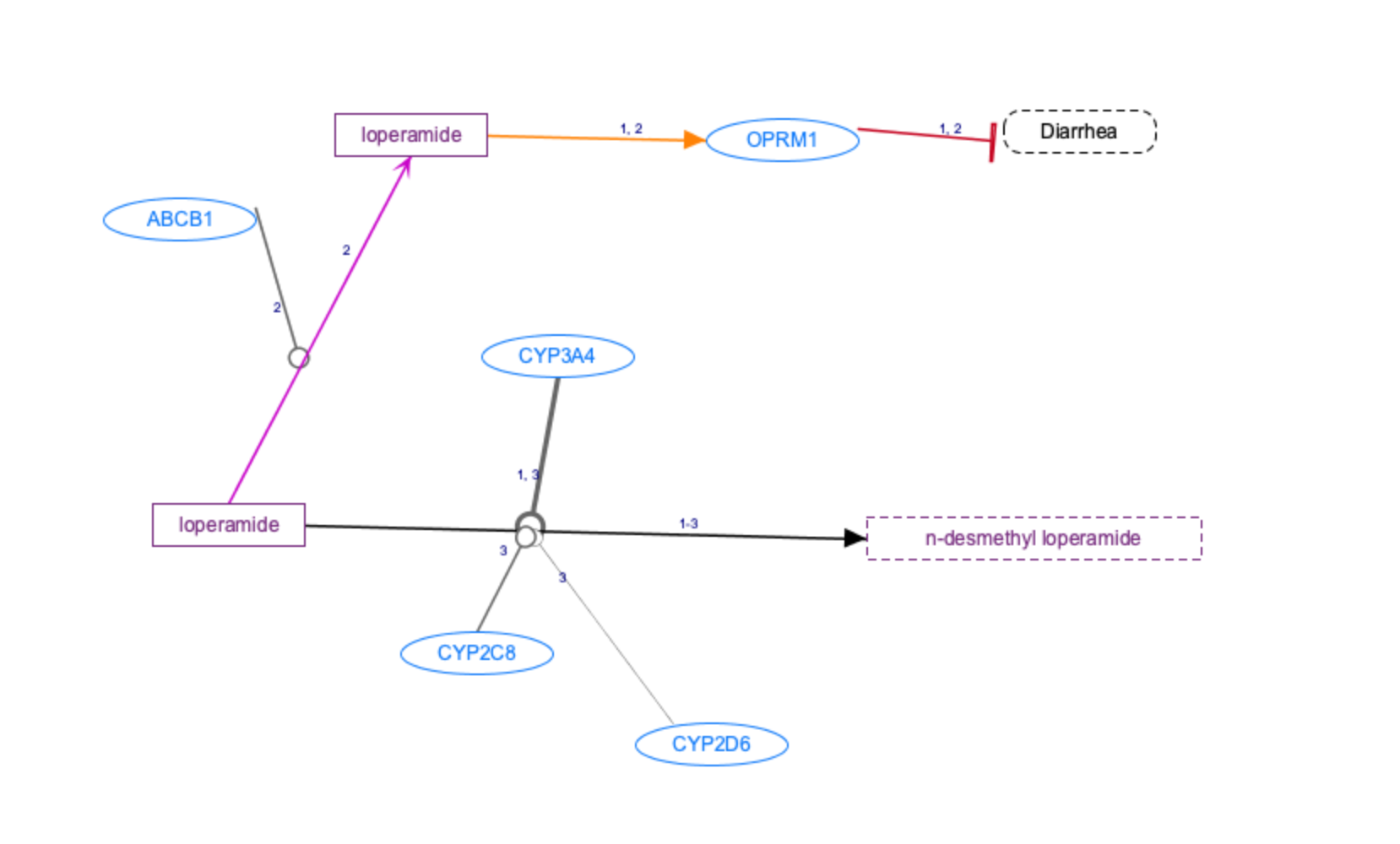 In Progress:  Loperamide Pathway, Pharmacokinetics/Pharmacodynamics diagram