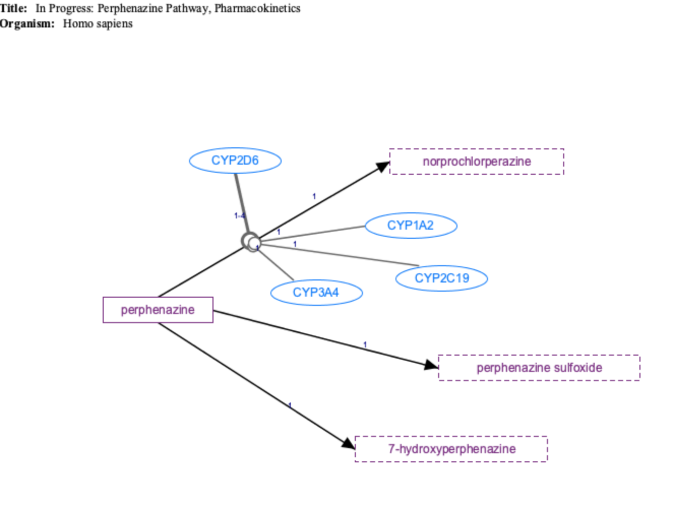In Progress: Perphenazine Pathway, Pharmacokinetics diagram